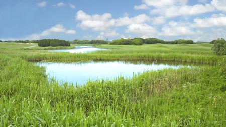 Mandarin News — The Leading Chinese Global Media Platform