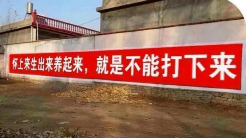 中共新华社报导说，习近平31日主持召开政治局会议，听取“十四五”时期（2021到2025年）应对人口老龄化重大政策措施汇报，审议“关于优化生育政策促进人口长期均衡发展的决定”等。  会议称，近年来中国人口老龄化程度加深。会议宣布，实施一对夫妻可以生育三个子女政策，及配套支持措施，改善中国人口结构，以应对人口老龄化的国家战略。