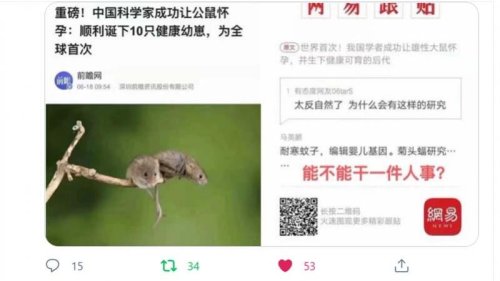 中共为争抢“科技第一”不择手段，其生物试验向来以违背伦理著称。在全球质疑武汉病毒所开发生物武器之际，陆媒又开始宣传中国科学家完成“全球首例”雄性老鼠怀孕产子试验，被网友批评“能不能干件人事”。 