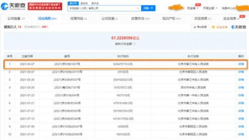 乐视控股（北京）有限公司再成被执行人，再被强制执行6亿元（人民币 下同）。