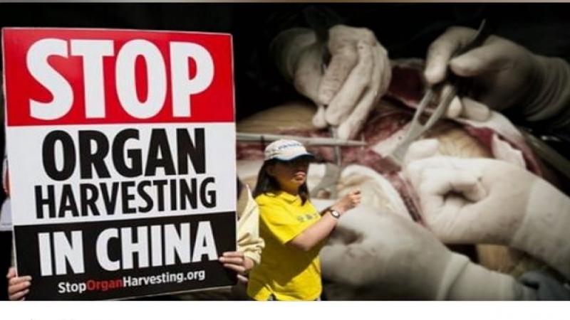 一位医生在一次全球人权峰会上表示，对北京的经济报复的恐惧，在一定程度上导致了世界对中共政权杀害无辜者、强行摘取器官以牟利的行为视而不见。 