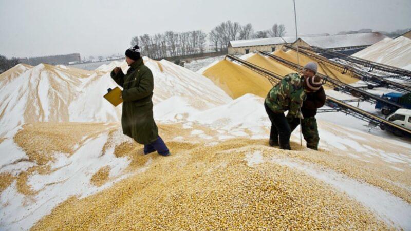 中国各地天灾不断，官方却一直宣称“粮食丰收增产”。但中国粮食进口连续两年暴增，今年前10个月比去年同期增加23%。学者分析，粮食缺口不断扩大。 