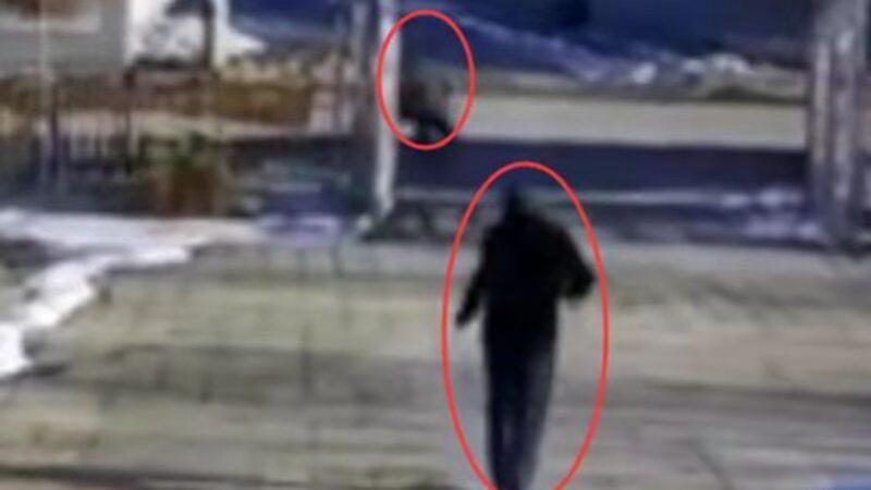 辽宁省辽阳市一名男子持刀追砍村书记，刺死村书记后自缢身亡。当地村民透露，这桩命案疑似土地纠纷引起的。