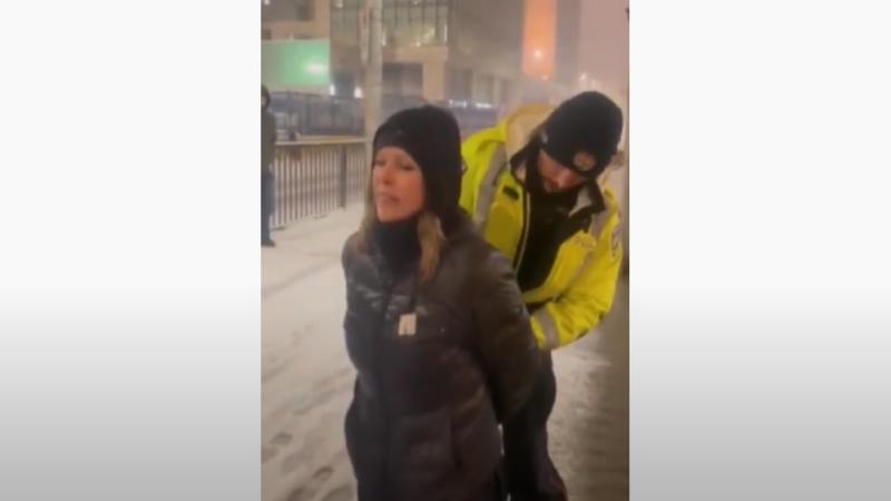 自由车队的组织者Tamara Lich今晚被渥太华警方逮捕