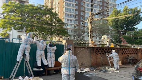 北京传出“静默3天”传闻后，再传出高校规定学生“不进不出”，当局称是居家办公休息及核酸检测3天。北京市民说，近期天天检测，住宅被无预警封控，抱怨“如待宰的羔羊”，“这个体制有多恶”。也有分析人士认为，北京大部分区域实际封城了。