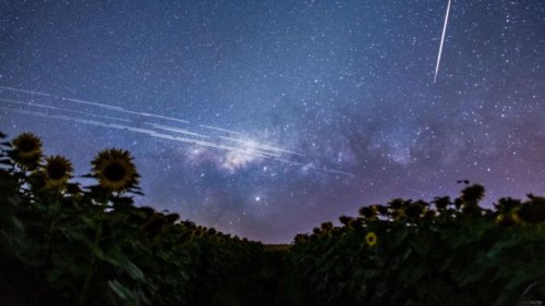 特斯拉CEO马斯克（Elon Musk）SpaceX公司的“星链”（Starlink）卫星可以向地球任何地方传输超高速的互联网数据，但它也有潜在的军事应用。中共的军事研究人员一直在制定计划，以摧毁“星链”的数千颗卫星。
