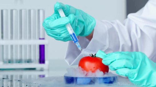 英国以乌克兰冲突为借口，推动基因编辑的科学食品合法化