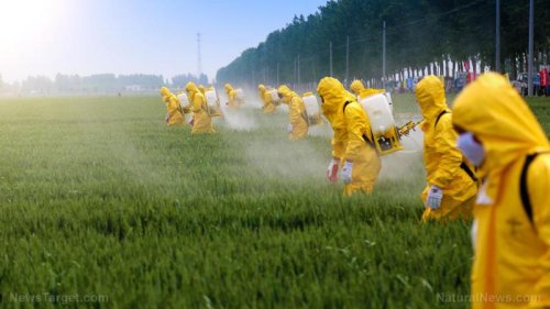 正在发生的事情：通过受污染的食物、受污染的水、有毒的药物、致命的疫苗和更多的东西使后代退化。这不仅是减少人口的总体计划的一部分，而且是为了让民众可怜地生病，以至于他们无法抵御共产主义的暴政。这是一场针对地球和人类的多方面的战争，这不是阴谋论，因为所有的迹象和证据都存在于众目睽睽之下，而且已经存在多年。