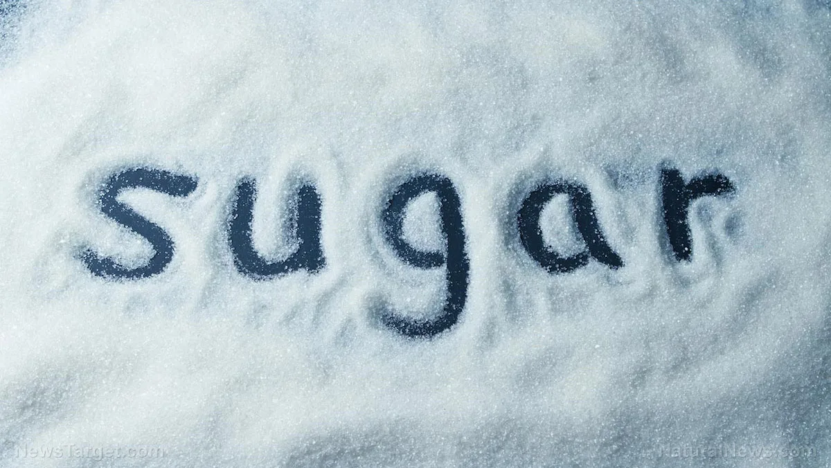 碳水化合物之谜：研究揭示过量糖分和淀粉对代谢的潜在危害