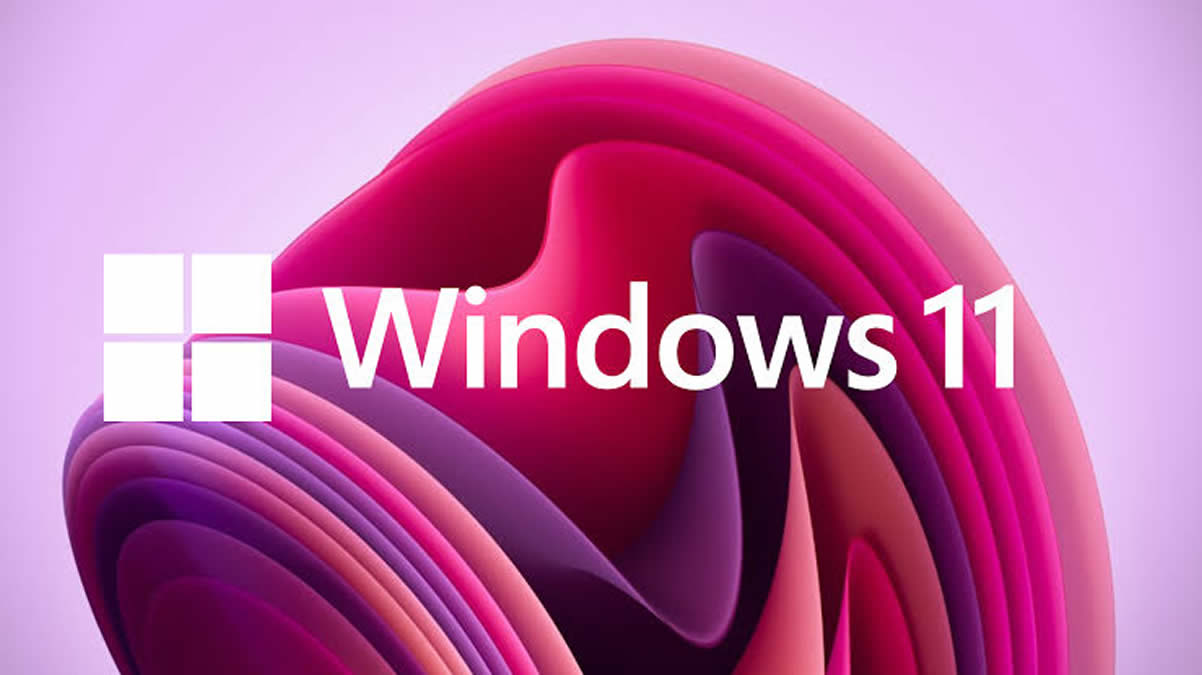 Windows 11 用户文件夹怎么管理？桌面、下载和文档应该怎样整理